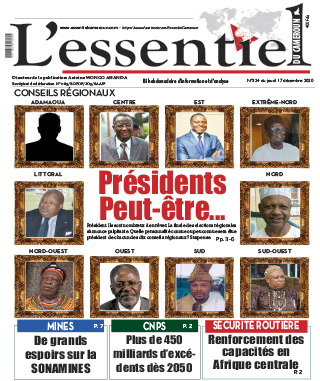 Cover L'Essentiel du Cameroun - 324 