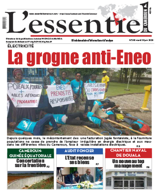 Cover L'Essentiel du Cameroun - 300 
