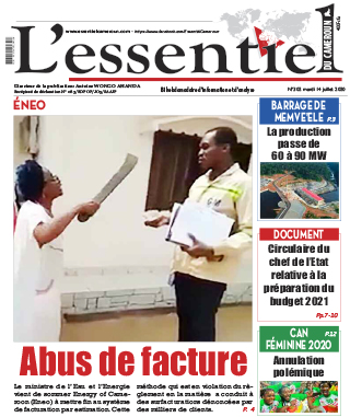 Cover L'Essentiel du Cameroun - 302 