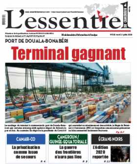 Cover L'Essentiel du Cameroun - 303 