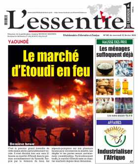 Cover L'Essentiel du Cameroun - 382 