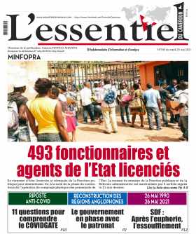 Cover L'Essentiel du Cameroun - 345 