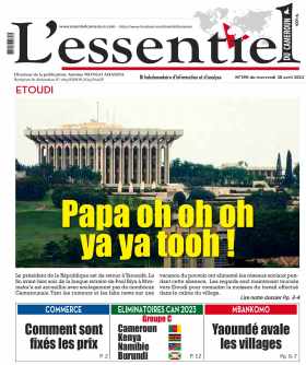 Cover L'Essentiel du Cameroun - 390 