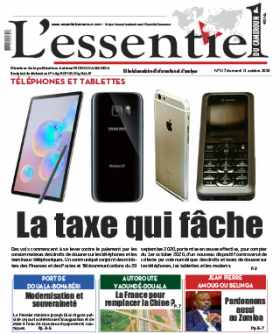 Cover L'Essentiel du Cameroun - 317 