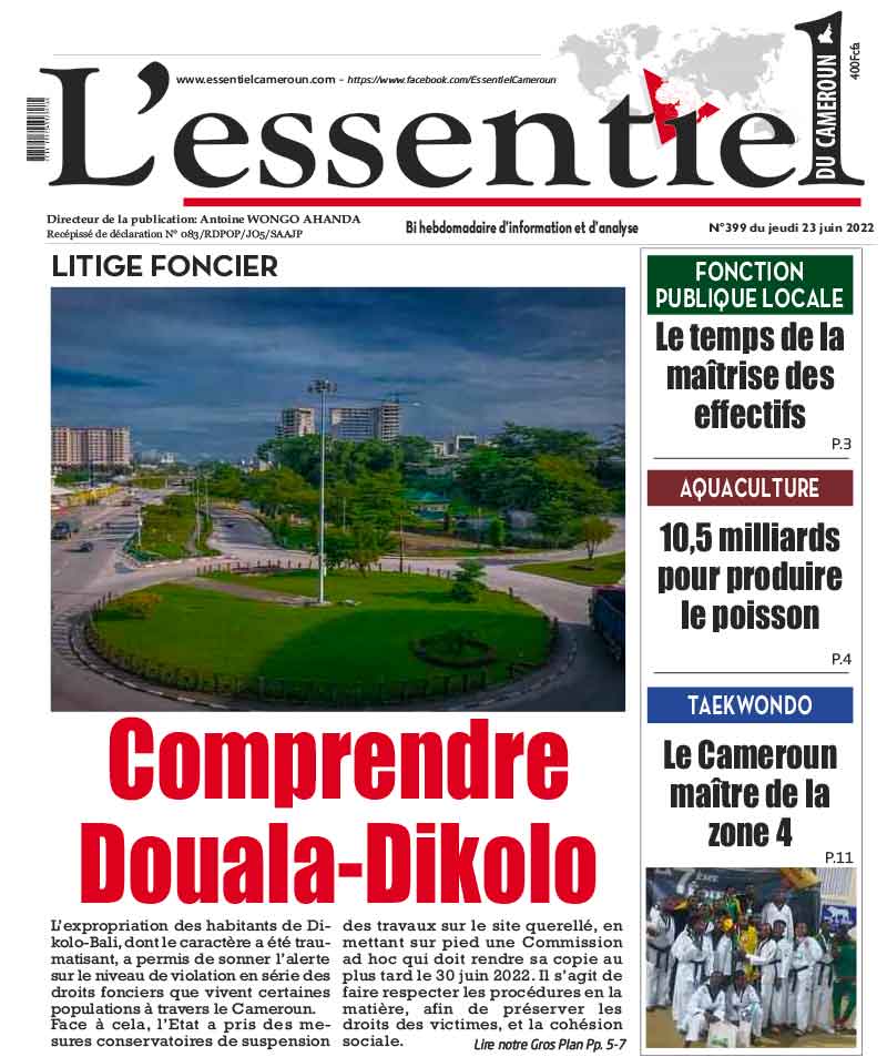 Cover L'Essentiel du Cameroun - 399 