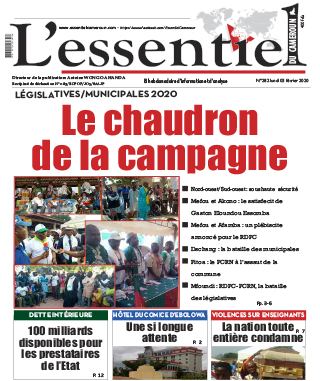 Cover L'Essentiel du Cameroun - 282 
